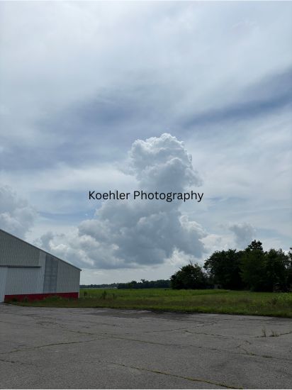 Dog in the Clouds